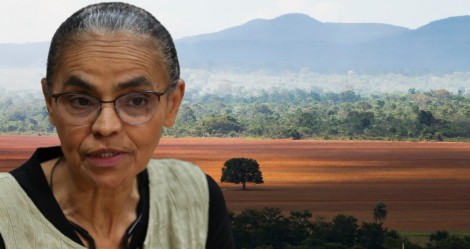 Alertas de desmatamento batem recorde e Cerrado perde vegetação gigante (veja o vídeo)
