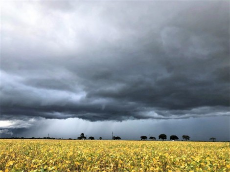 El Niño: Fenômeno  ainda não acabou e novas previsões são divulgadas para o Brasil