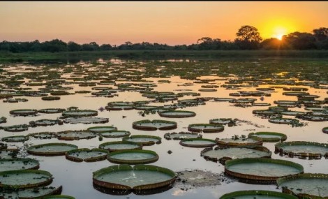 Mato Grosso do Sul deve ter movimentação intensa na semana mais decisiva e importante do ano