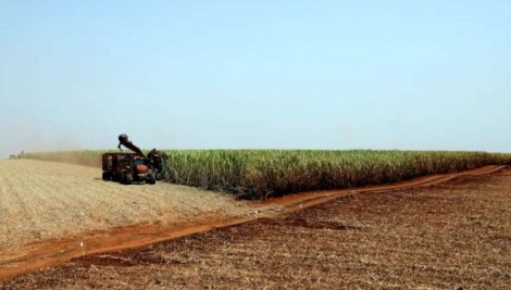 Gigante americana faz compra inesperada e expõe a situação alarmante do Agro brasileiro