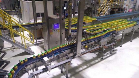 Agro transforma o Brasil no maior exportador de produto surpreendente (veja o vídeo)