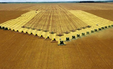 Estado brasileiro tem resultado impressionante em lista de cidades mais ricas do agronegócio