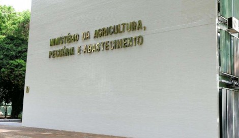 Decisão de Brasília poderá causar prejuízos avassaladores ao agro brasileiro