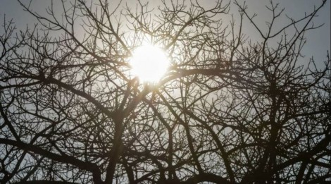 Clima atinge nível alarmante e agência emite alerta para sete estados brasileiros