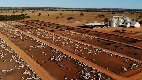 Equivalente ao tamanho de dez países, maior fazenda do Brasil é de tirar o fôlego