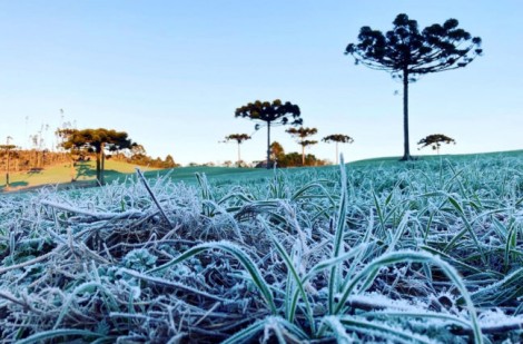 Temperaturas de arrepiar e impacto nas lavouras. Confira a previsão do tempo para agosto