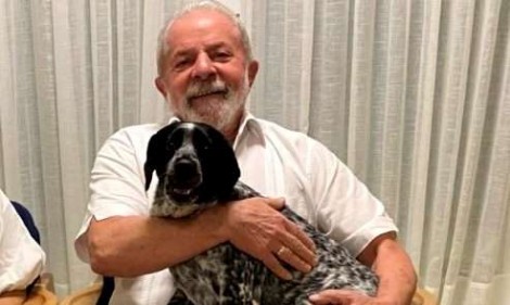 Chamado por Elon Musk de “cão de colo”, Lula tem reação deprimente