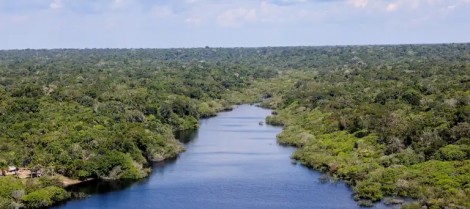 Alerta grave sobre influência estrangeira na exploração de recursos na Amazônia