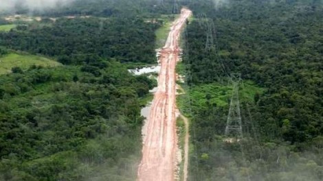 COP 30: O grande teatro escandaloso da hipocrisia com a construção de autoestrada na Amazônia