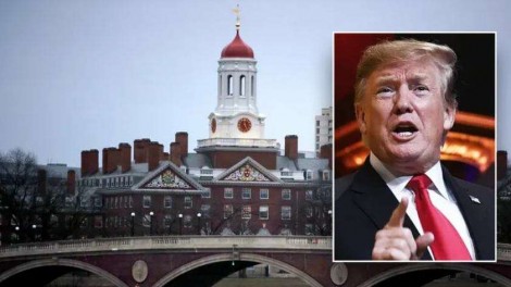 Trump contra Harvard: Ele declarou guerra ao coração simbólico da elite ocidental decadente