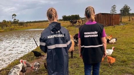 Minas Gerais decreta estado de emergência