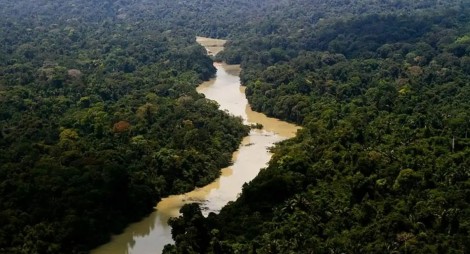 Ex-ministra da França é contratada pela USP e dá declaração alarmante sobre interesse estrangeiro na Amazônia