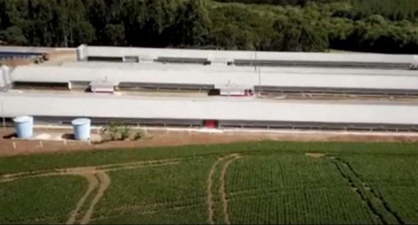 Justiça toma decisão sobre crime bizarro que aconteceu dentro de famosa multinacional do setor alimentício