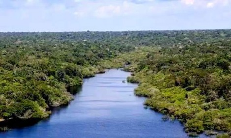 Amazônia Azul e Verde: Soberania não se terceiriza