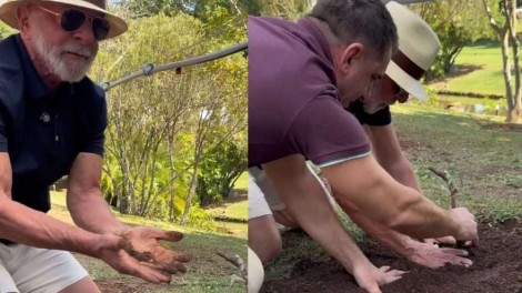 O fanfarrão que come jabuticabas, planta uvas e colhe sofrimento para uma nação