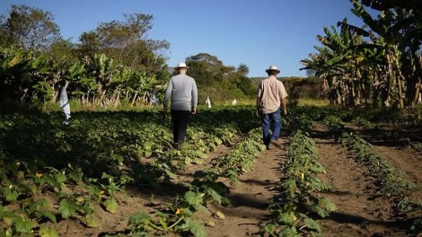 "Defender o produtor rural é defender a credibilidade do Brasil”, afirma presidente da Frente Parlamentar da Agropecuária
