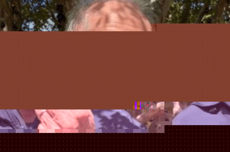 Parece insanidade, soa como insanidade. E é insanidade