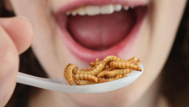 Vai uma larva aí? - Reprodução internet