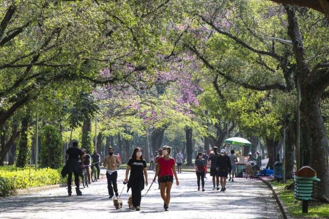O Parque Ibirapuera é um patrimônio de São Paulo - Reprodução internet