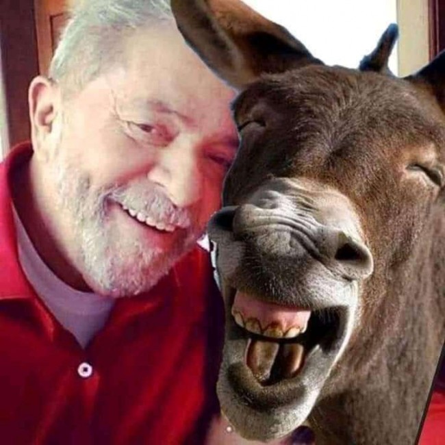Reprodução internet