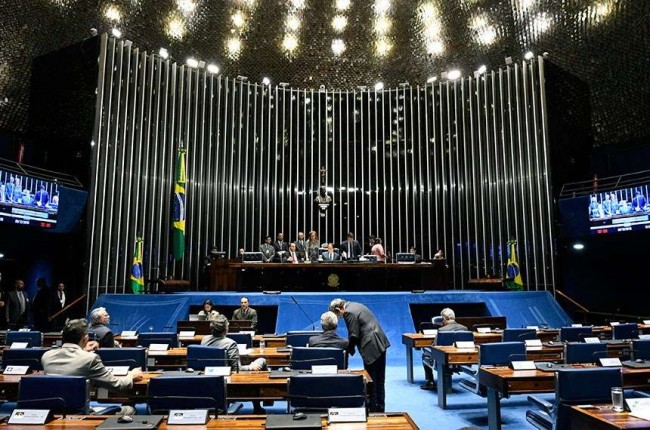 Plenário - Reprodução internet