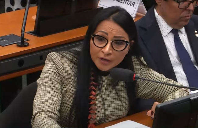 Deputada federal Sílvia Waiãpi - Reprodução internet