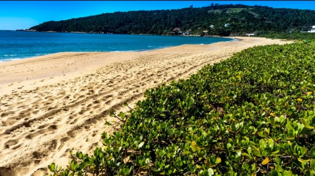 Foto: Prefeitura de Balneário Camboriú