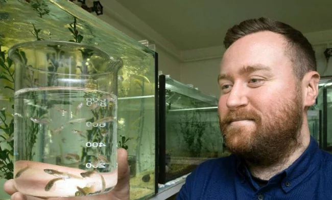 Cientista brasileiro é destaque internacional… mas por escândalo de fraude em 34 estudos acadêmicos