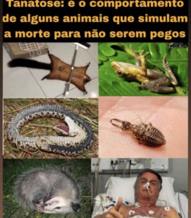 Imagem em destaque