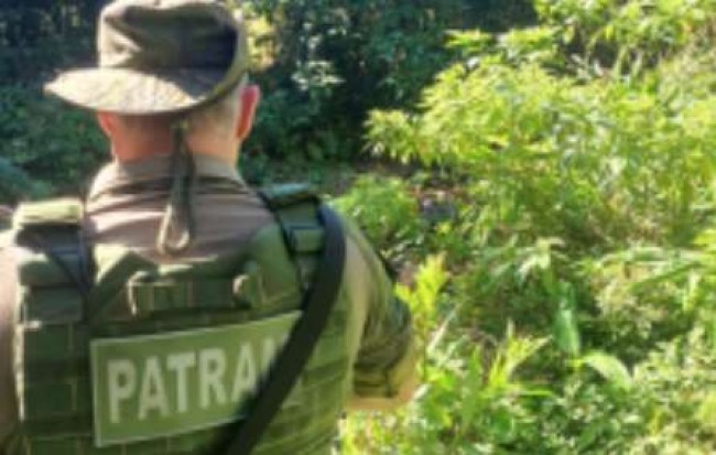 Imagem em destaque