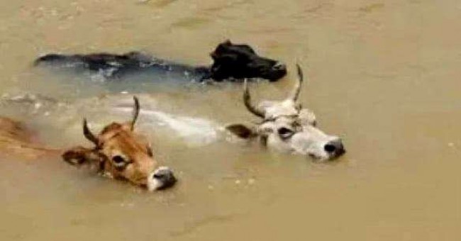 Imagem em destaque