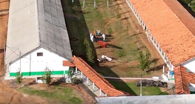 Imagem em destaque