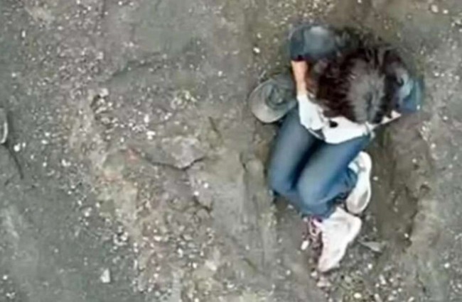 Imagem em destaque