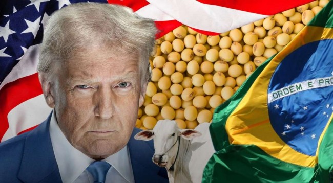 Imagem em destaque