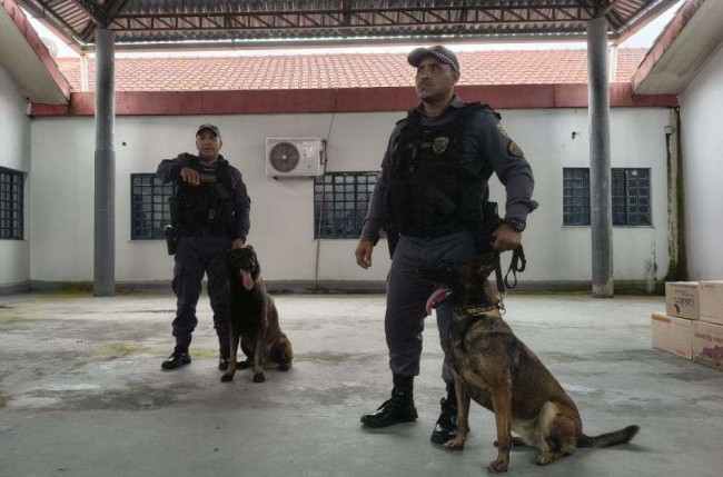 Imagem em destaque