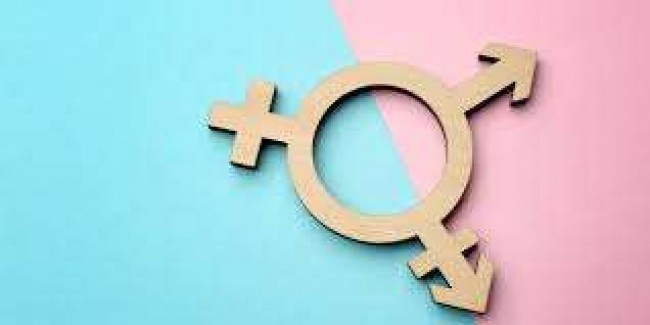 Reprodução internet