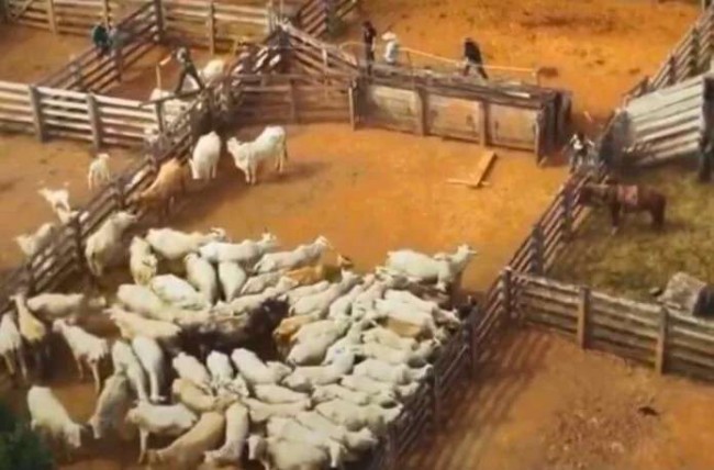 Imagem em destaque